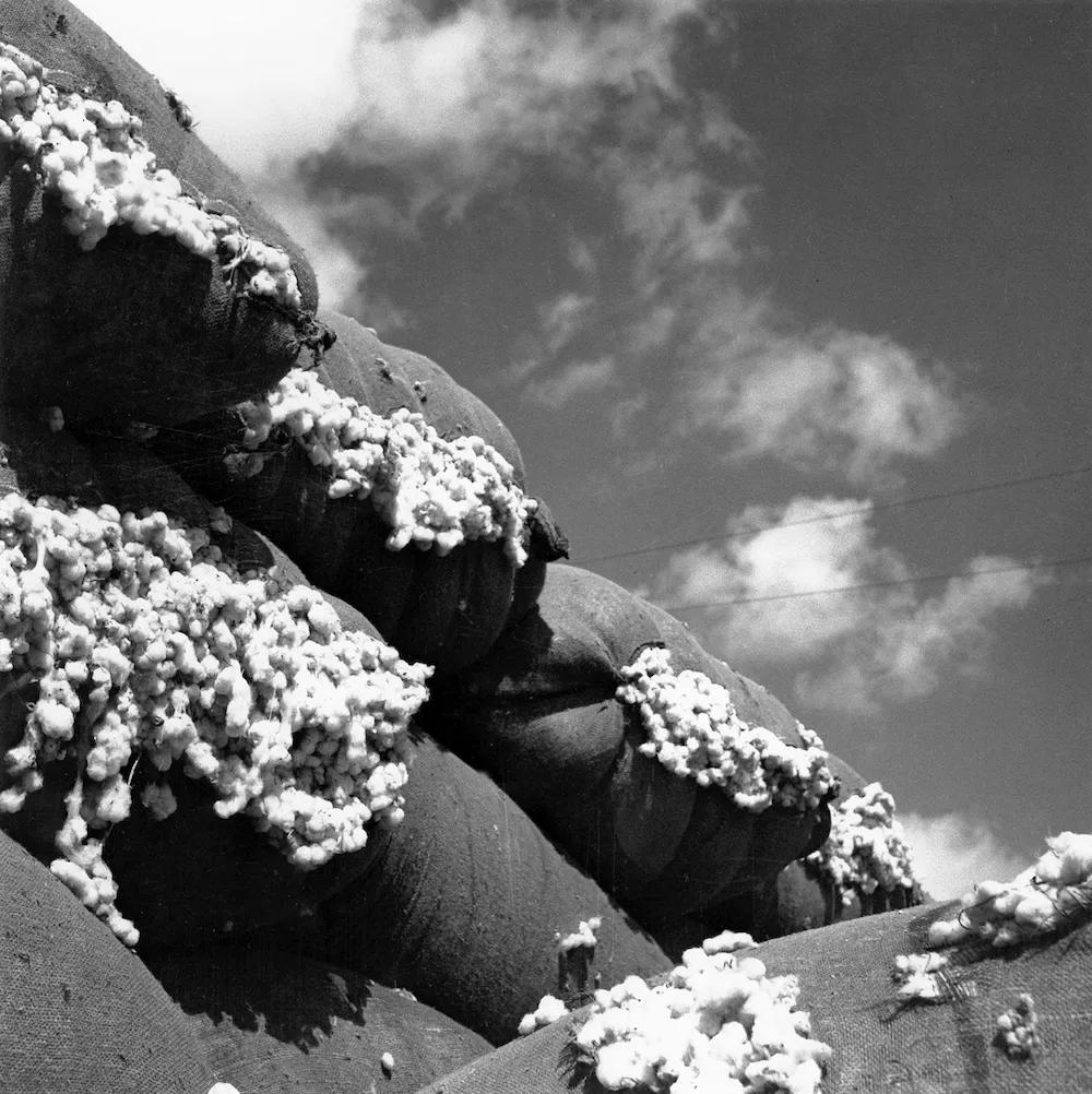 リー・ミラー《The Cloud Factory, Assyut, Egypt（雲の工場、アシュート、エジプト）》（1939）プリント（2007）　Courtesy Tate, ©Lee Miller Archives