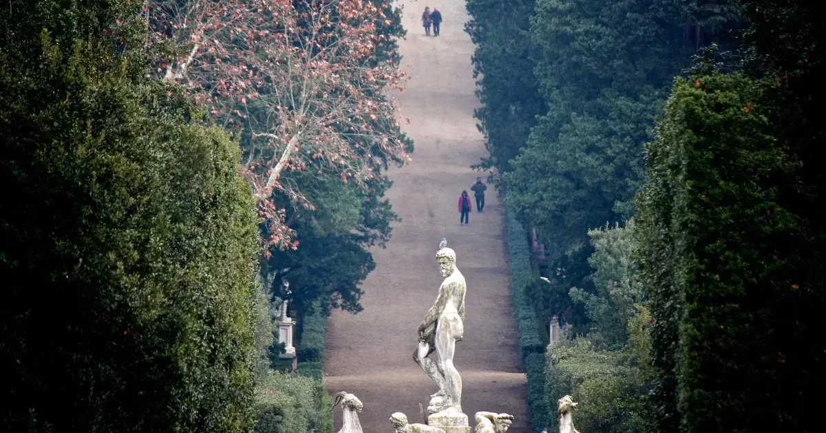 Boboli_e1659727915698_72b5b67f