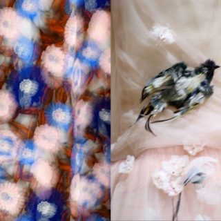 【極美品】Christian Dior 着用1回のみ クリーニング済み ドレス 極美品】Christian Dior 着用1回のみ クリーニング済み ドレス