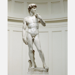 アートかポルノか」論争の主役、ミケランジェロ作ダビデ像の誕生秘話