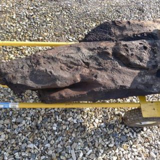 ストーンヘンジより2000年も前の木彫りが「完璧な状態」で出土