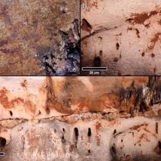 洞窟の絵 p0b0323z.jpg.webp