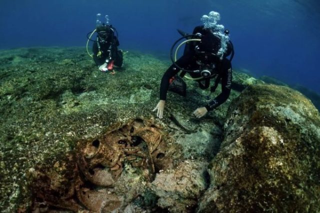 大航海時代 沈没船引き揚げ青花染付 竹林文15世紀 超大型500年前 SALE