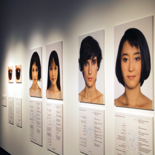 現代の美術 art now 全12冊+別巻-【第1位獲得！】