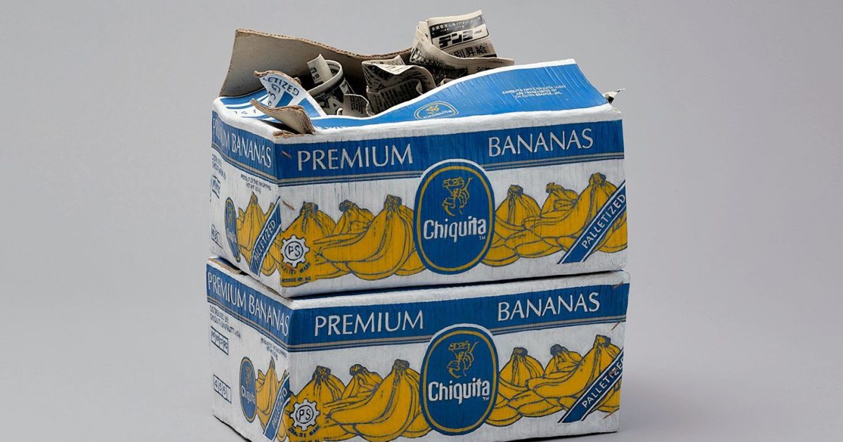 fotor_2024060616636_e1558702a3