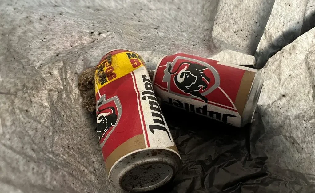 美術館スタッフが展示作品を誤ってゴミ箱へ。ビール缶そっくりの作品は