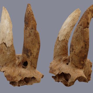 美しい、、古代中国の羊像 新石器時代後期頃 前3000～2000年】骨董発掘
