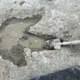 Dewars-Farm-dinosaur-