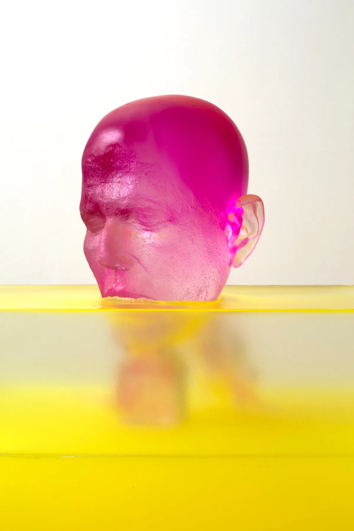 ロナ・ポンディック《Magenta Swimming in Yellow》(2015-17) Photo: Courtesy the artist and Steven Zevitas Gallery, Boston/Private collection, Boston