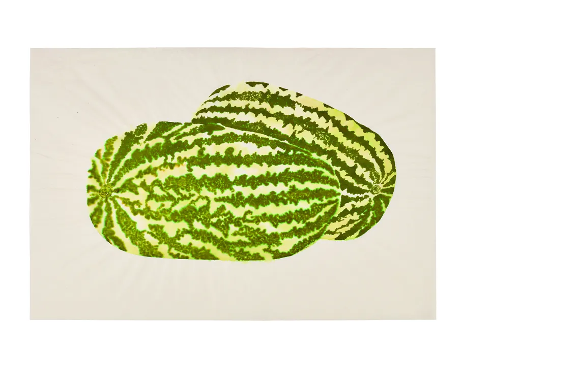 ルース・アサワ《Untitled (WC.187, Two Watermelons)》(1960年代) Photo: ©2025 Ruth Asawa Lanier, Inc./Courtesy David Zwirner/Photo James Paonessa/Glenstone Museum, Potomac, Maryland