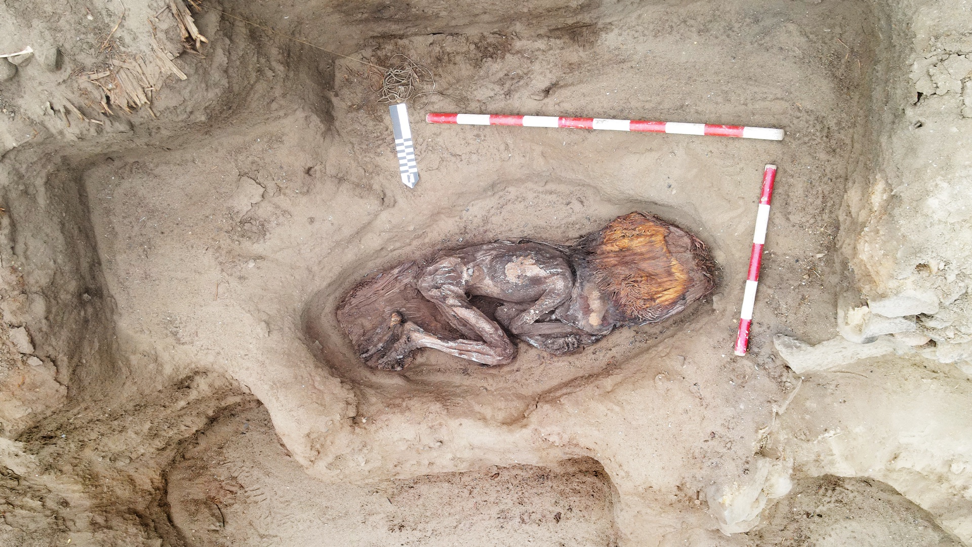 指導者層の女性とされる5000年前の遺骨。Photo: Courtesy of Peru's Culture Ministry