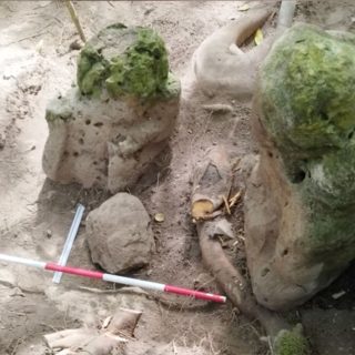 tnMayaGuatemala-320x320.jpg