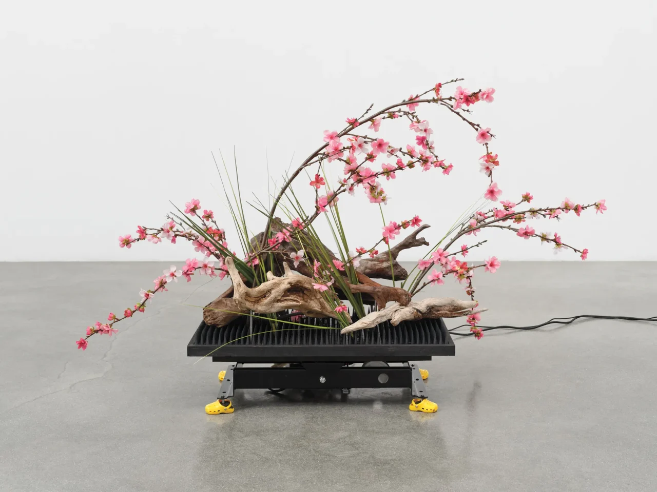 レイチェル・ユン《Arrangement(アレンジメント)》(2023)。Photo: Nik Massey/Courtesy Soy Capitán, Berlin