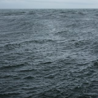 The-State-Were-In_-A_Courtesy-