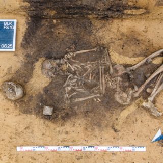 クラウシュビッツで見つかった女性の墓からは動物の歯も出土した。Photo: Courtesy of State Office for Heritage Management and Archaeology Saxony-Anhalt