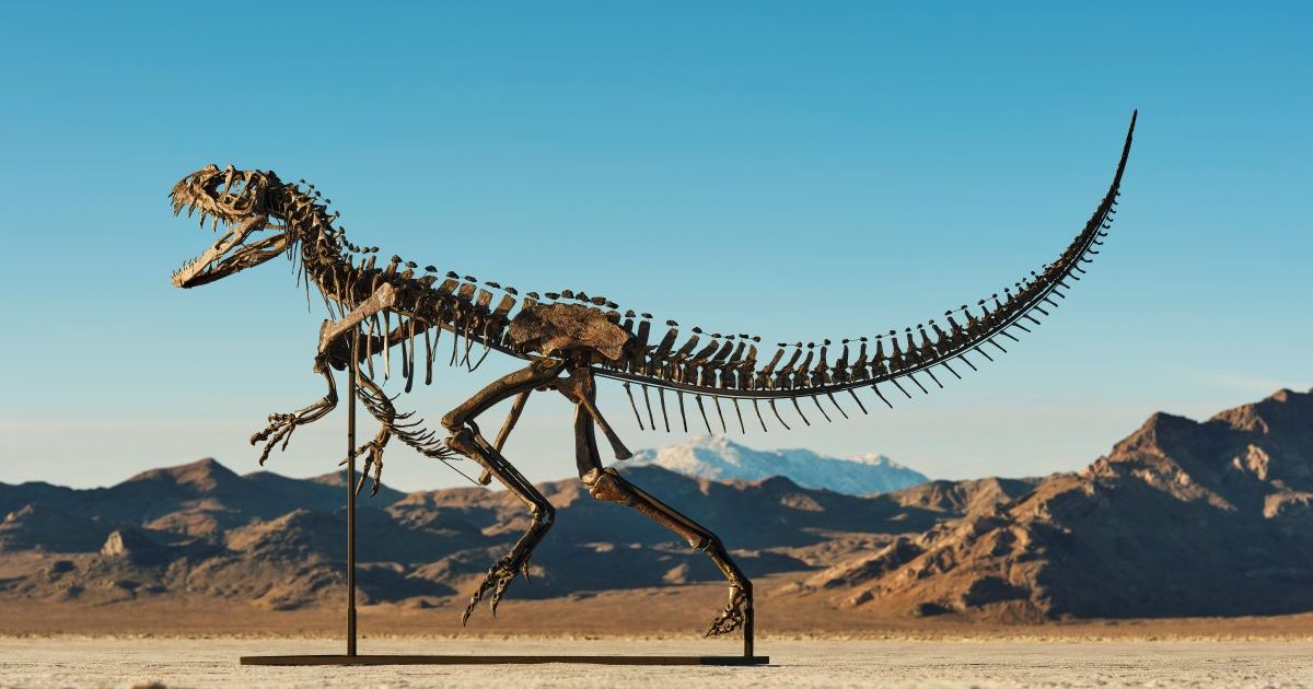 現存する唯一のケラトサウルス幼体化石、45億円で落札！ 予想の5