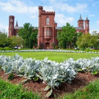 The Smithsonian Institution. Photo: David Ake/Getty Images