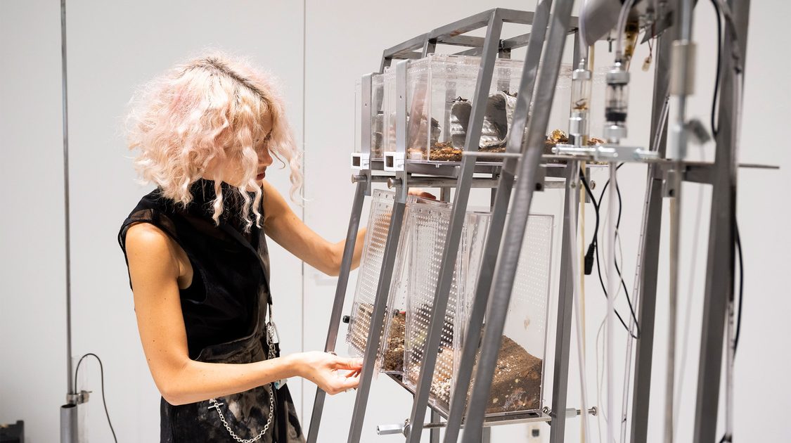 469fe77d500123359589a95fa9be95