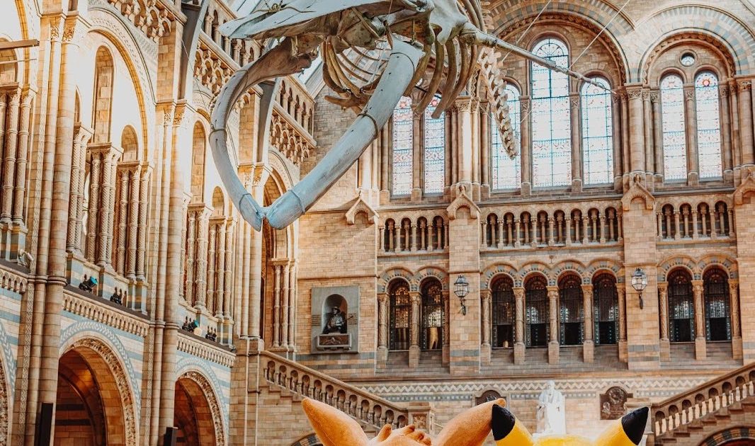 ポケモンが2026年初頭にロンドン自然史博物館でポップアップ開催