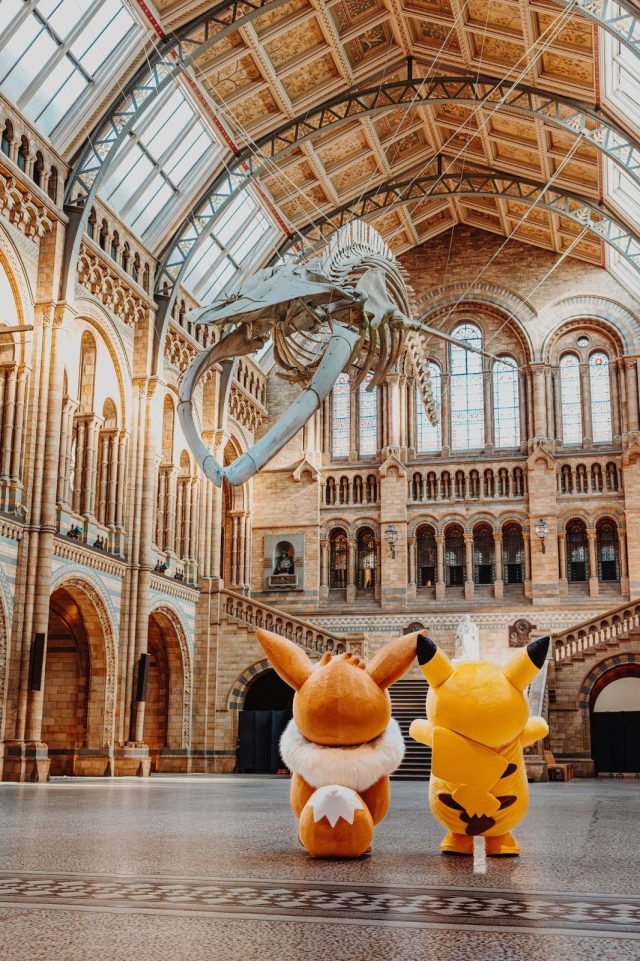 secondpokemon-640x961.jpg