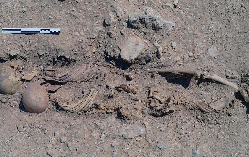 ‼️三つ首竜‼️アンティーク古傷 images_large_fg4-1000x630.webp