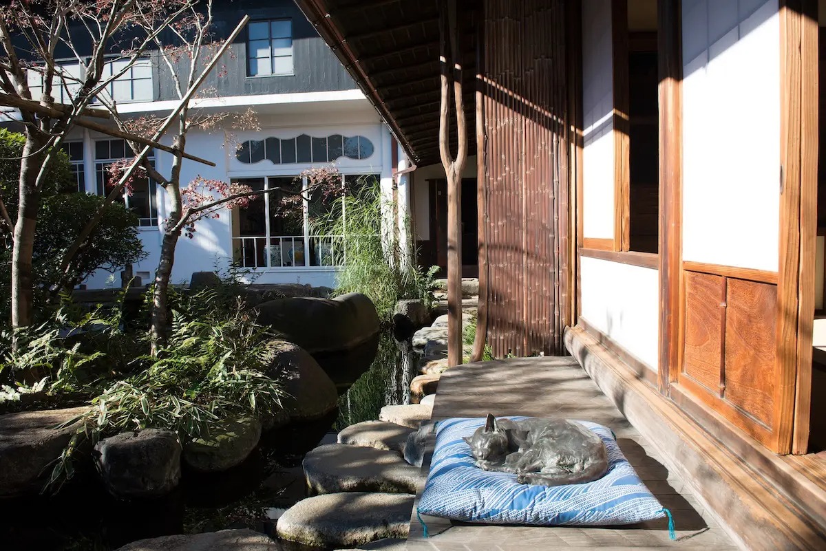 池に面した縁側に置かれた猫の彫刻作品。Photo: 朝倉彫塑館提供