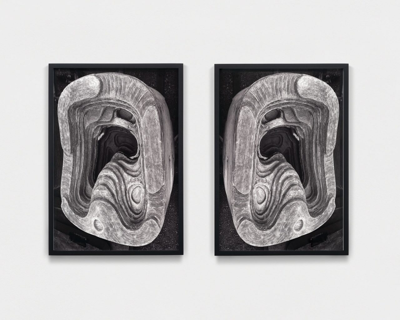 シャノン・エブナー《Subtidal Ears》（2023–25）　Photo: Courtesy Kaufmann Repetto, New York