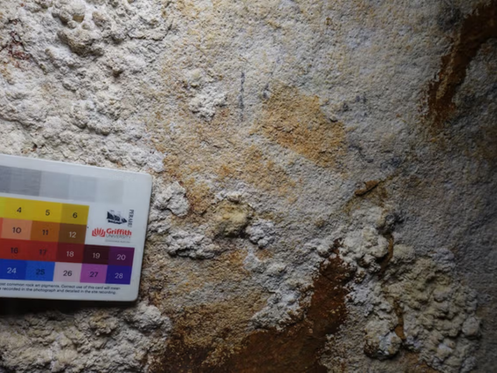 スラウェシ島南東部で発見された壁画。Photo: Maxime Aubert