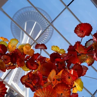 A view of the Space Needle from the Chihuly Garden and Glass Museum. Photo Don Bartletti/Los Angeles Times via Getty Images