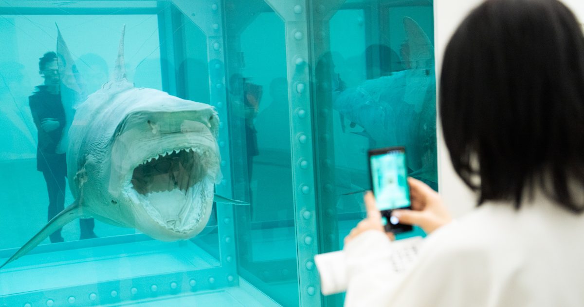 ダミアンハースト　ポスター　サメ 5分で学ぶ】強烈な死生観！ダミアン・ハーストの魅力を解説（サメ, 牛