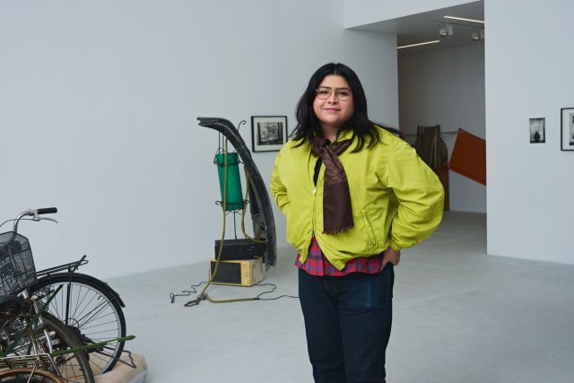 ARTnews-JAPAN-Ser-Serpas0104-