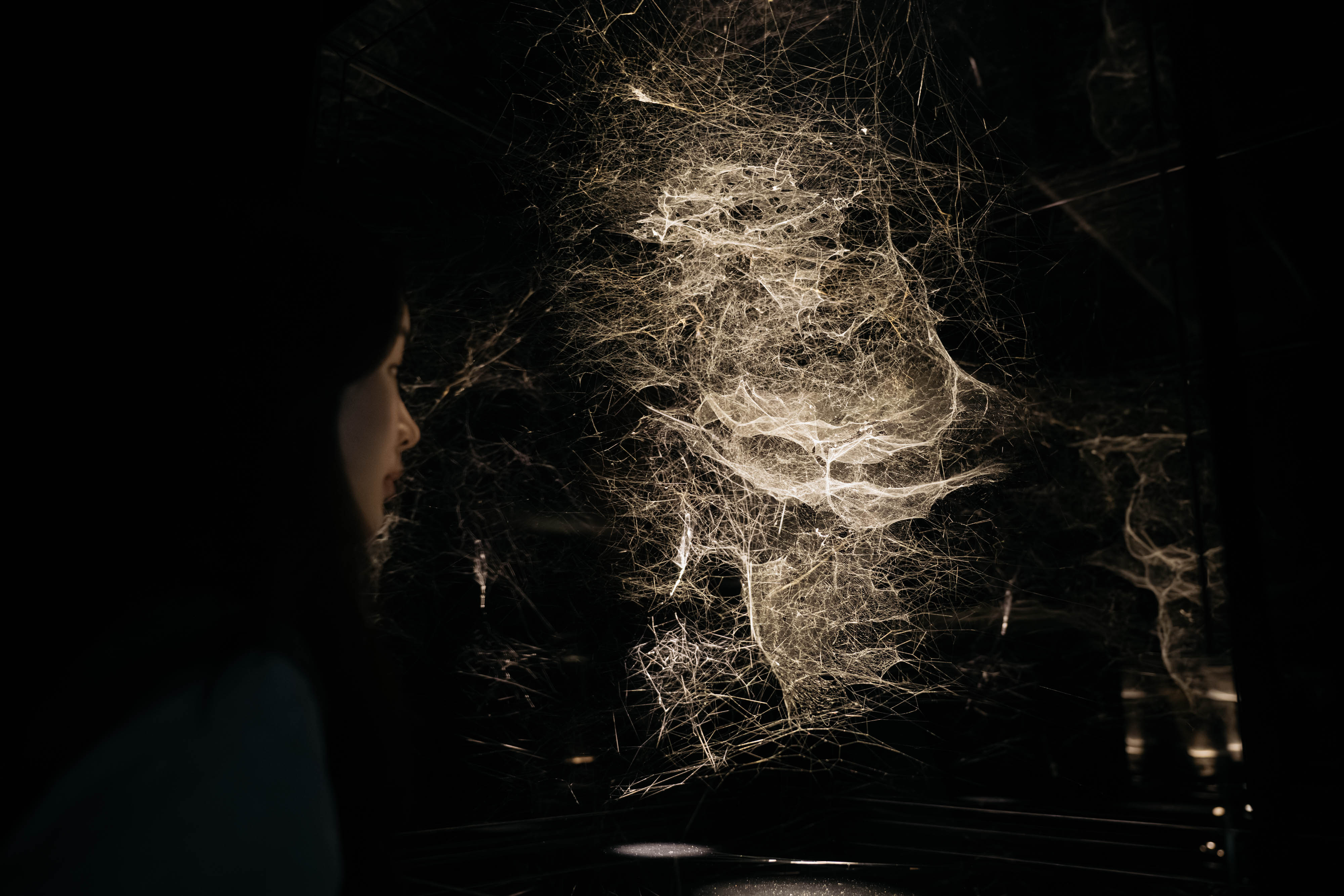 「熱力學的想像」展間一隅。（新北市美術館提供，攝影：林軒朗） A view of the gallery of Thermodynamic Imaginary. (Courtesy of New Taipei City Art Museum, Photo_ Hsuan Lang Ling)