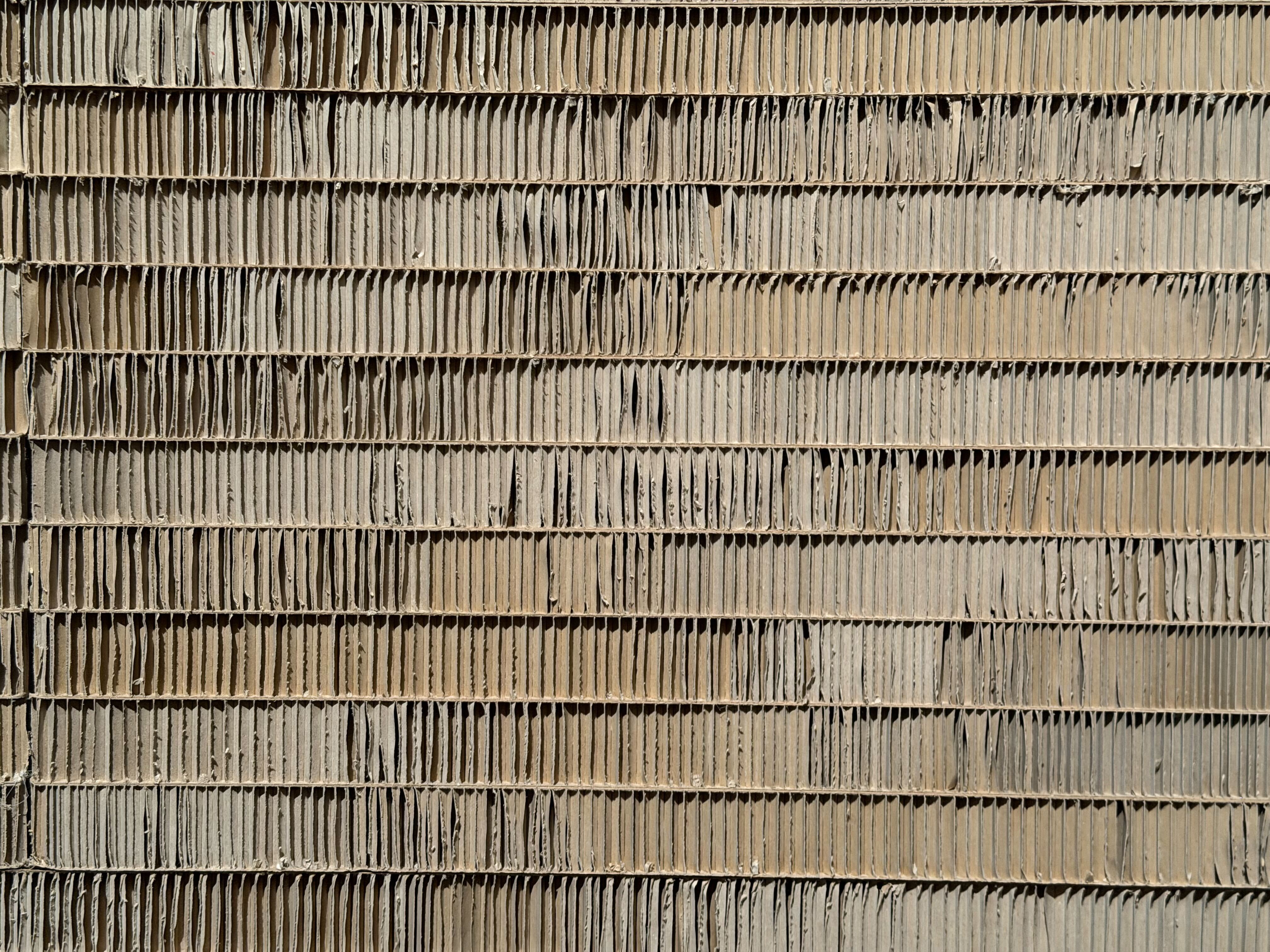 第61回ヴェネチア・ビエンナーレ メイン展示「In Monor Keys」の展示風景。Photo: Masaki Yato / ARTnews JAPAN