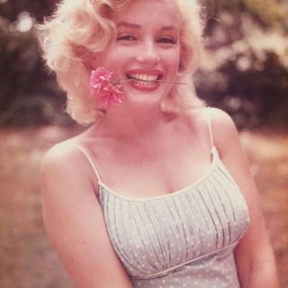 赤裸々な未公開書簡も──マリリン・モンロー生誕100年、その素顔に