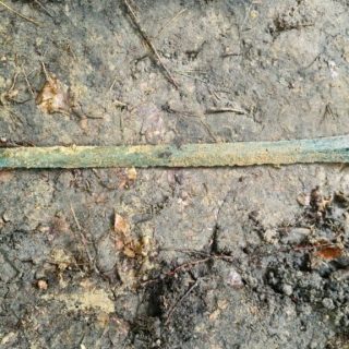 金属探知機愛好家、森で地面に突き刺さった青銅剣を発見──「奇跡の