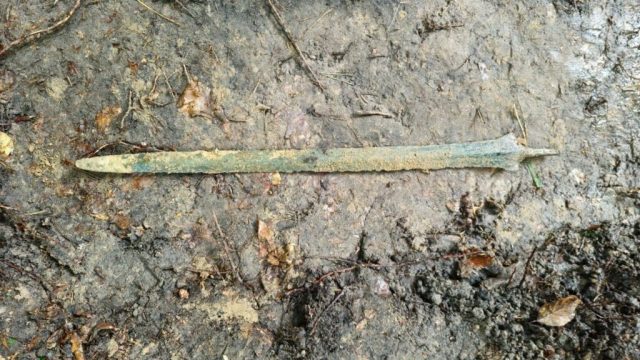 金属探知機愛好家、森で地面に突き刺さった青銅剣を発見──「奇跡の