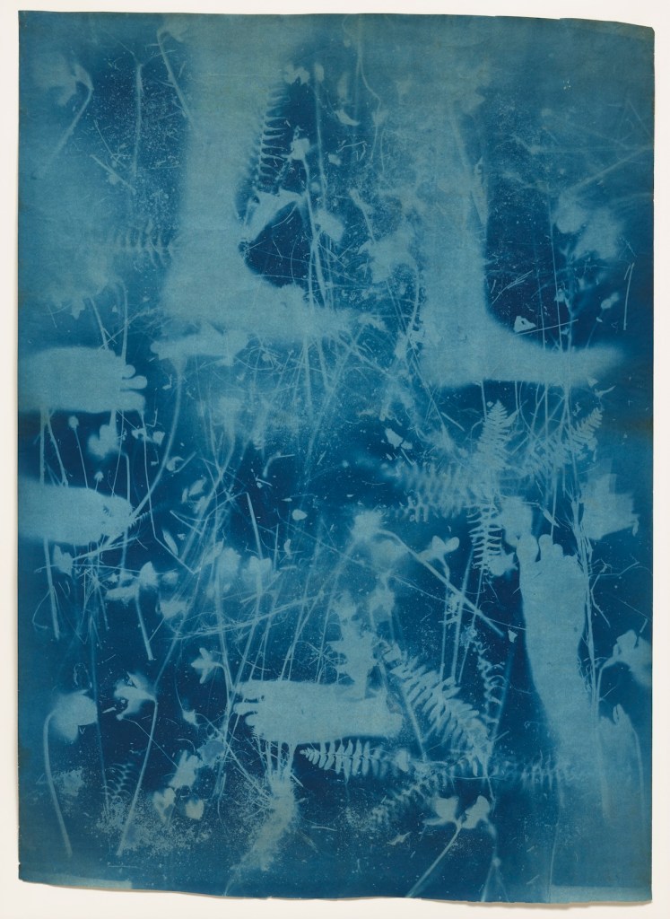 ロバート・ラウシェンバーグとスーザン・ワイル《Untitled》（1950年頃）　Photo: Collection of the Museum of Modern Art, New York. Digital image copyright © The Museum of Modern Art, New York/Licensed by SCALA/Art Resource, New York. Artwork copyright © Robert Rauschenberg Foundation/Artists Rights Society (ARS) New York