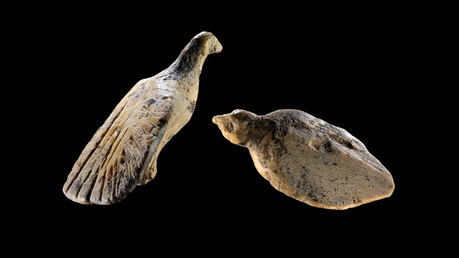 4万年前の極小・精巧な「鳥の彫刻」を洞窟で発見──羽毛まで彫り込まれた世界最古級の芸術
