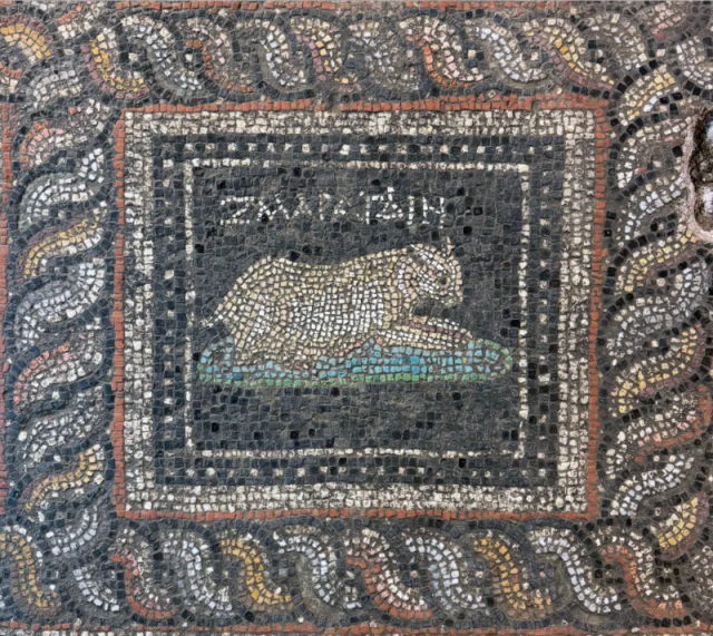 古代ローマの猫と犬にも「名前」があった？ 1800年前の邸宅に残された